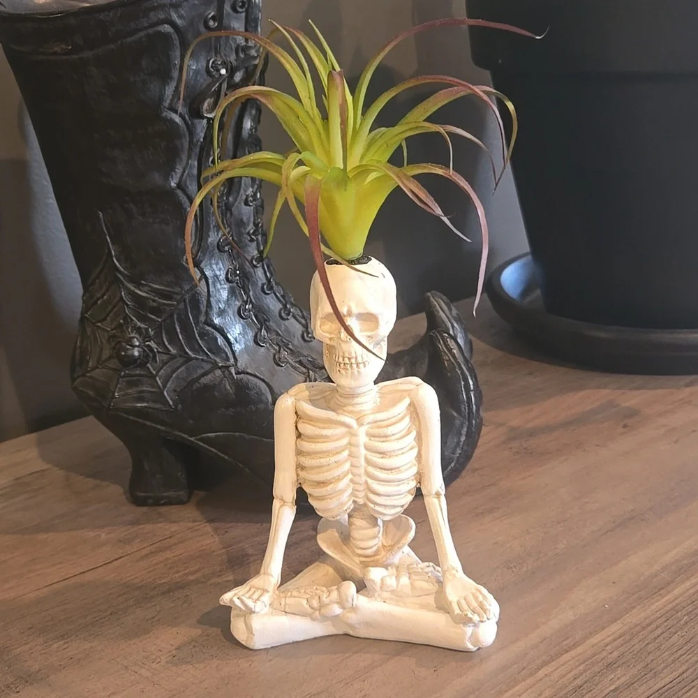 Skeleton Faux Air Plant
